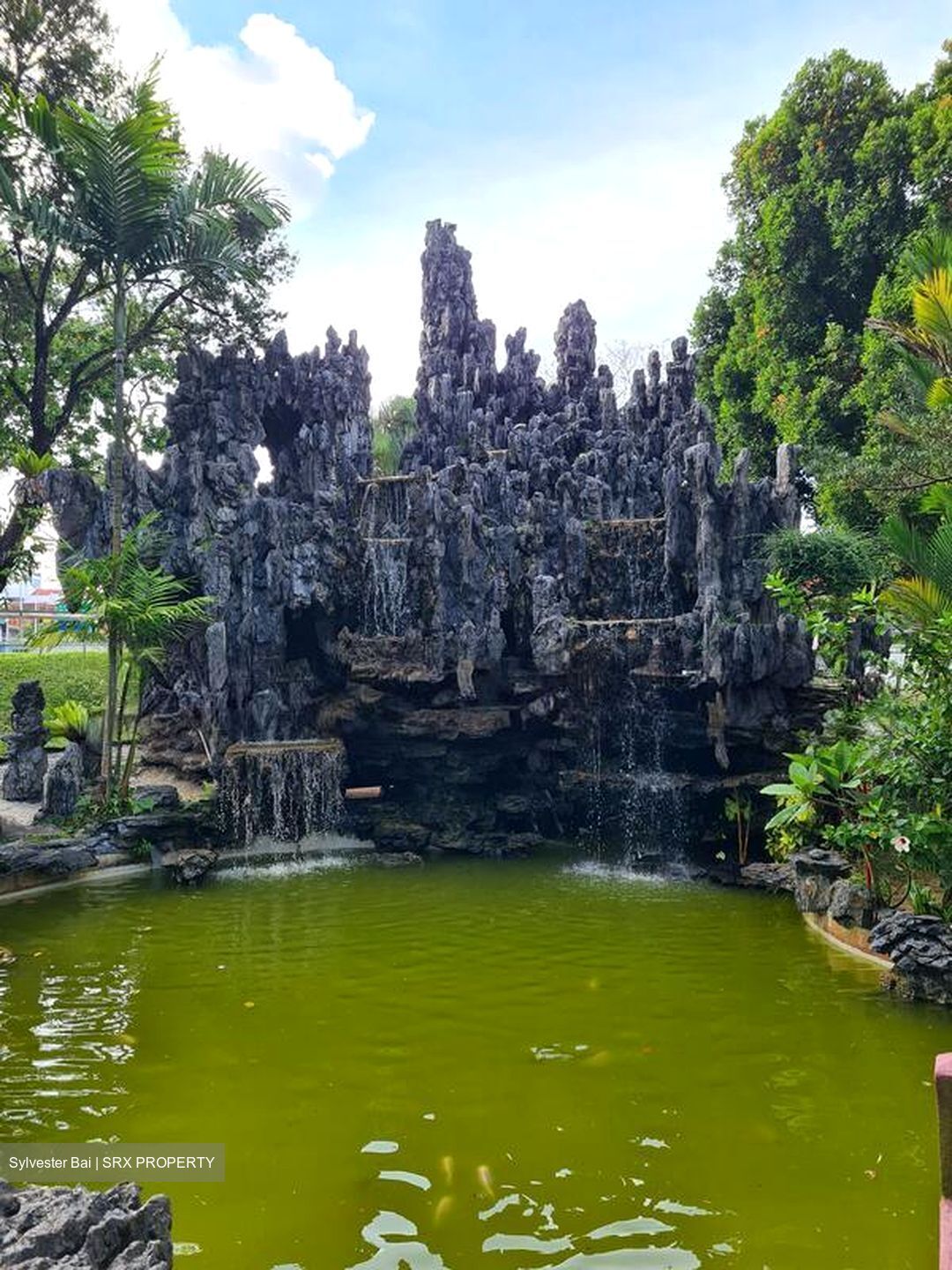 Far Horizon Garden (D20), Condominium #504139471